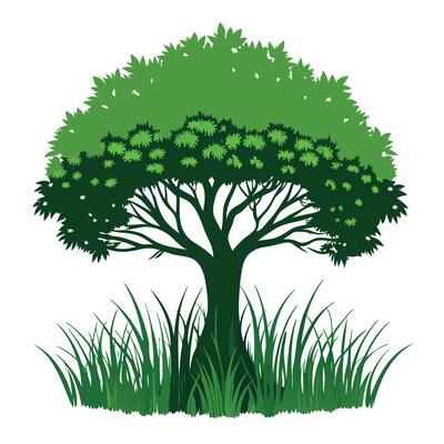 Tree sketch art illustration white background