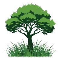 Tree sketch art illustration white background vector