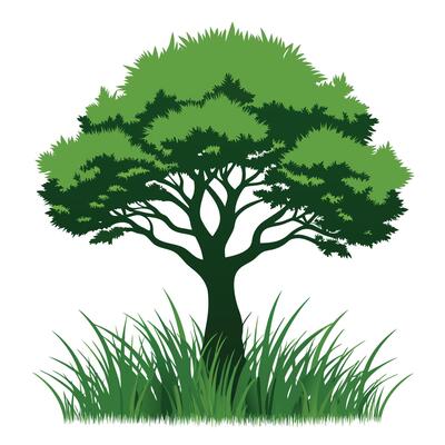 Tree sketch art illustration white background