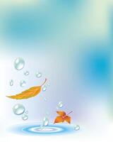 Autum Flying Down with water Drops n blue background gradient vector