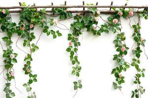 An elegant floral archway with green leaves, perfect for weddings or garden events photo