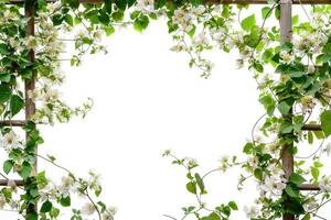 An elegant floral archway with green leaves, perfect for weddings or garden events photo