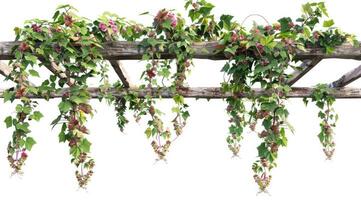 An elegant floral archway with green leaves, perfect for weddings or garden events photo
