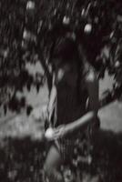 A Figure in the Blur, Collecting Fruit under the Tree in a peaceful scene of nature and harvest photo