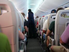 People sitting in cabin of plane, stewardesses in background. Perfect for travel and aviation content. Plane interior showing passengers and crew. Capturing in-flight experience and plane atmosphere. photo