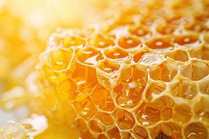 Close-up of honeycomb with golden honey photo