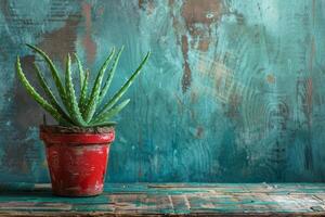 Vibrant aloe vera plant in a rustic red pot on a distressed wooden surface photo