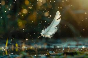 White feather floating gracefully in sunlight photo