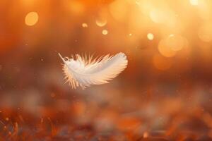 White feather drifting in warm autumn light photo