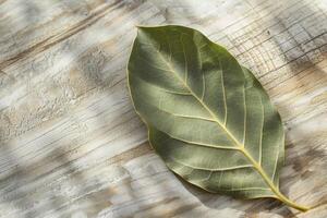 Bay leaf on a textured wooden surface photo