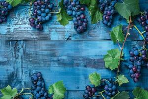 Bunches of blue grapes with green leaves on a blue wooden background photo