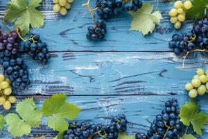Bunches of blue and white grapes with green leaves on blue wooden background photo