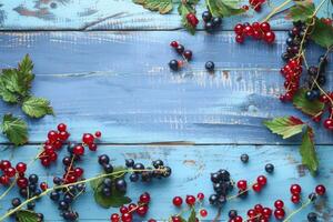 Fresh red and black currants on rustic blue wooden background photo