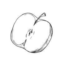 Apple slice ink sketch. Black line fruits illustration set. Graphic sketch in hand drawn style. Fresh tropical elements on white background. vector