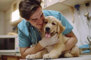 Veterinarian examining a golden retriever puppy in a veterinary clinic. photo