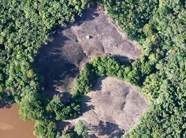 aerial view using a drone of the jungle of Borneo photo