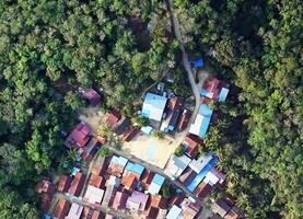 aerial view using a drone of the jungle of Borneo photo