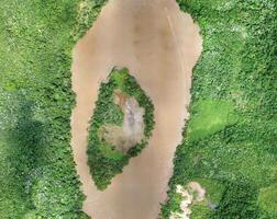 aerial view using a drone of the jungle of Borneo photo