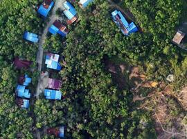 aerial view using a drone of the jungle of Borneo photo