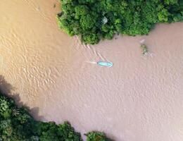 aerial view using a drone of the jungle of Borneo photo