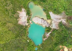 aerial view using a drone of the jungle of Borneo photo