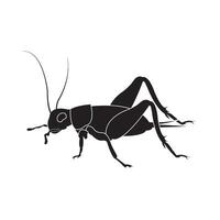 cricket insect icon illustration design template vector