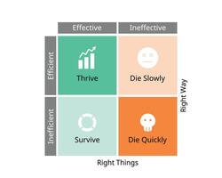 Efficiency and Effectiveness Matrix for thrive, survive, die slowly, die quickly for the efficiency in management vector