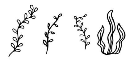 Hand drawn set of seaweed icons in Scandinavian style. Underwater ocean flora. Abstract organic shape of underwater plant. illustration isolated on a white background. Undersea world. vector