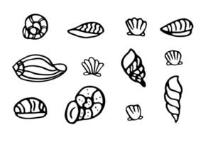 Hand drawn set of seashells icons in Scandinavian style. Ocean exotic seashell mollusk, sea spiral snail. Tropical beach shells. illustration isolated on a white background. Undersea world. vector