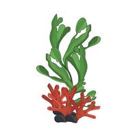 illustration of seaweed vector