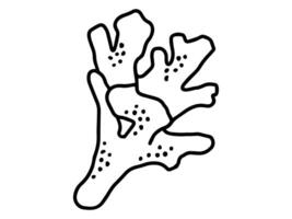 Coral Reef Line Art Illustration vector