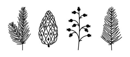 Christmas plants, icon set. Branches of coniferous trees - spruce, fir, cedar. Pine cone and mistletoe with berries. Silhouette of evergreen forest twig. Hand drawn botanical sketch, doodle vector