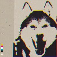 Siberian Husky face CMYK colors overlap transparent with risograph effect graphic illustration. Dog smiling high contrast defect screen printing effect vivid colors on old paper. vector