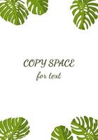 ector design with tropical leaves. Template for a greeting card. Flowering plants in a text frame. vector