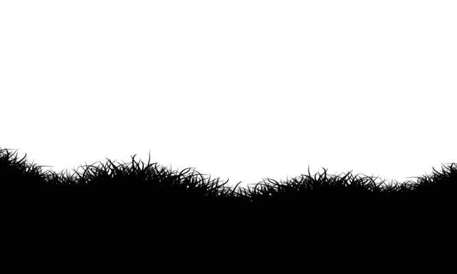 Black grass border silhouettes illustration on white