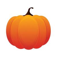 Pumpkin vegetable icon isolated on white background vector