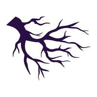 Trees branch silhouette isolated on white background vector