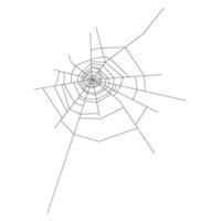 Hand drawn spider web illustration on white background vector
