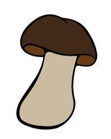Illustration of birch mushroom on a white background. vector