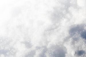 Snow and Snowflakes White Background photo