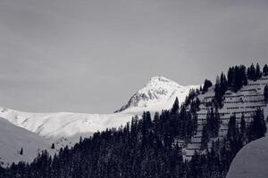 Black and White Winter Snowy Mountain Peak at the Alps with Pine Forest photo