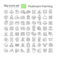 Mushroom farming linear icons set. Edible fungi. Mushroom foraging and identification. Farm techniques. Customizable thin line symbols. Isolated outline illustrations. Editable stroke vector