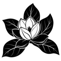 magnolia flower black silhouette illustration vector