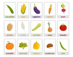 A set of cards with illustrations of vegetables and their names. Vegetables in flat style on a white background. Educational cards for children. vector