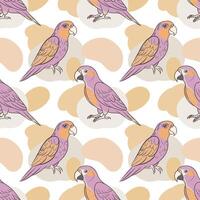 Seamless pattern, linear drawings of tropical parrots on a background of abstract shapes. Cute macaw birds. Design for textile, background, print vector