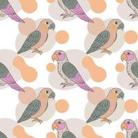 Seamless pattern, linear drawings of tropical parrots on a background of abstract shapes. Cute macaw birds. Design for textile, background, print vector