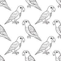 Seamless pattern, linear drawings of tropical parrots on a white background. Cute macaw birds. Design for textile, background, print vector