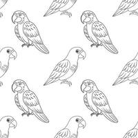 Seamless pattern, linear drawings of tropical parrots on a white background. Cute macaw birds. Design for textile, background, print vector
