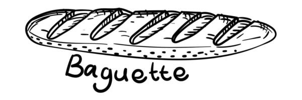 Doodle illustration featuring a long loaf of black outline, and a sweet baguette name. The image is handmade with different line thicknesses. Contour illustration for baking in cafes, bakeries vector