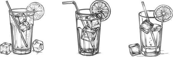 a drawing of four different types of drinks vector